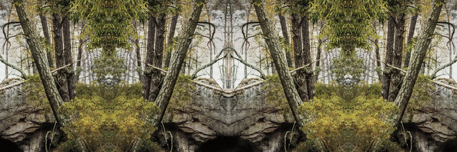 EnHansie's profile banner image