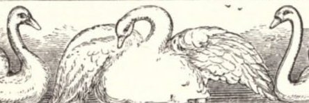 romugaboo's profile banner image