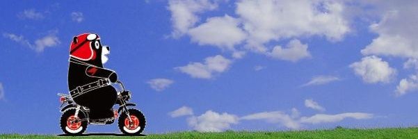 hide1300sp1's profile banner image