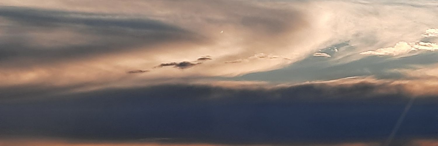 moogii0503's profile banner image