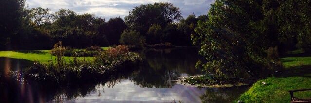 Rachel Tuffnell 💙 (she/her) banner