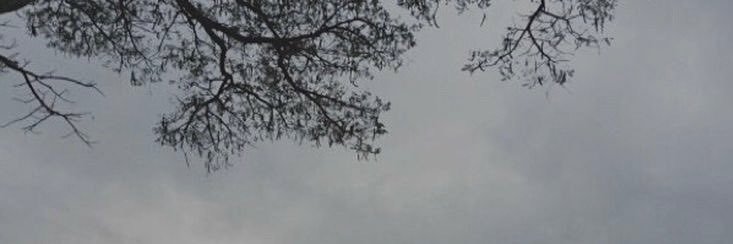 boxkatebox's profile banner image