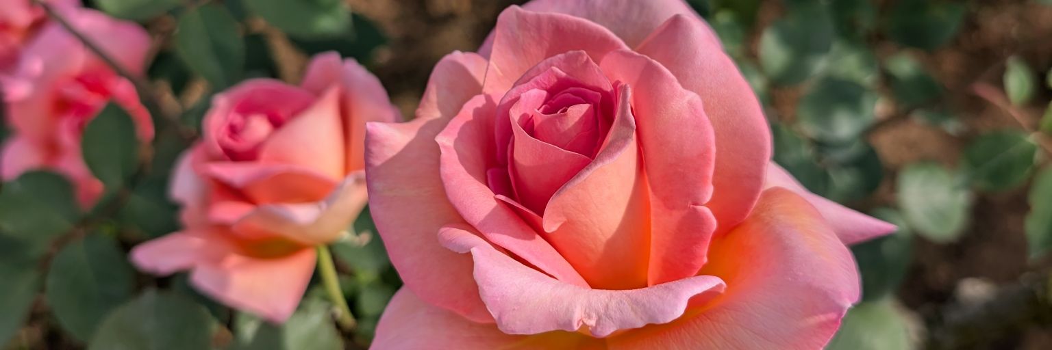 annyaaaaa24's profile banner image