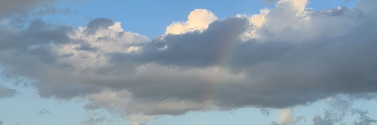 silverixel's profile banner image