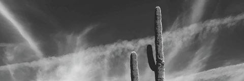 JonPHX's profile banner image