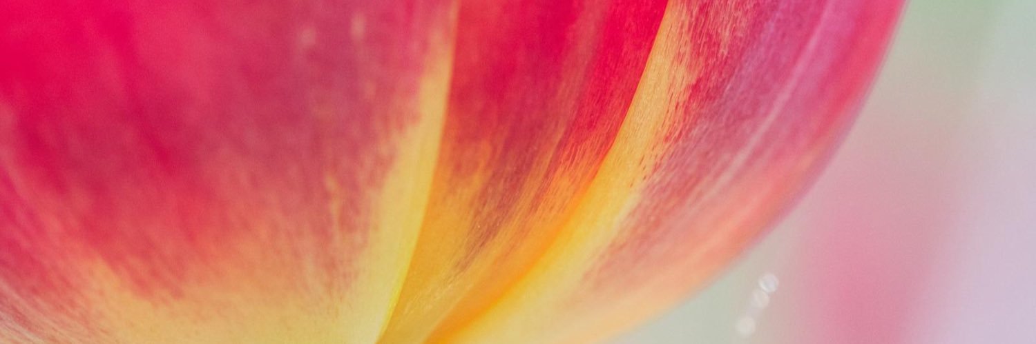 orange7212's profile banner image