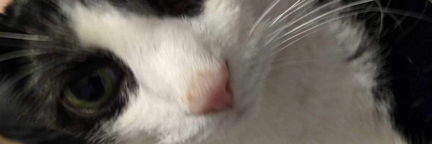 ImNotDoneYet15's profile banner image