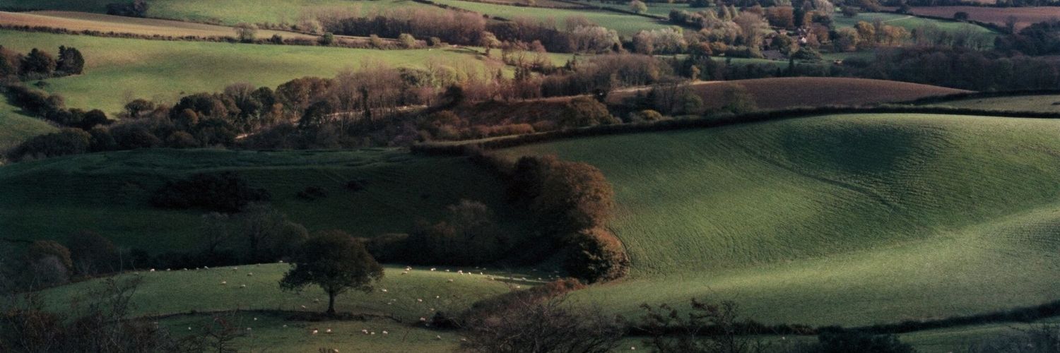 George Layton banner