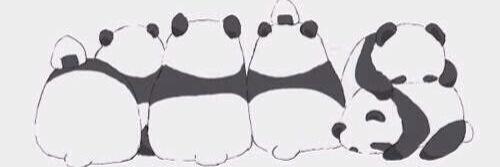 gumypanda's profile banner image