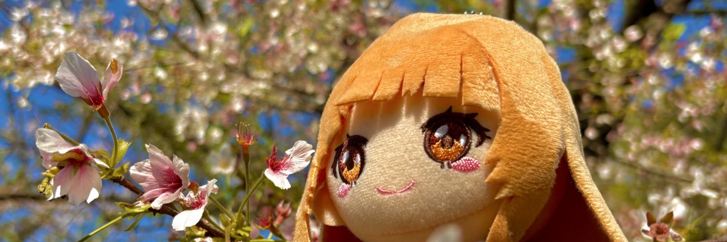 runa_teru's profile banner image