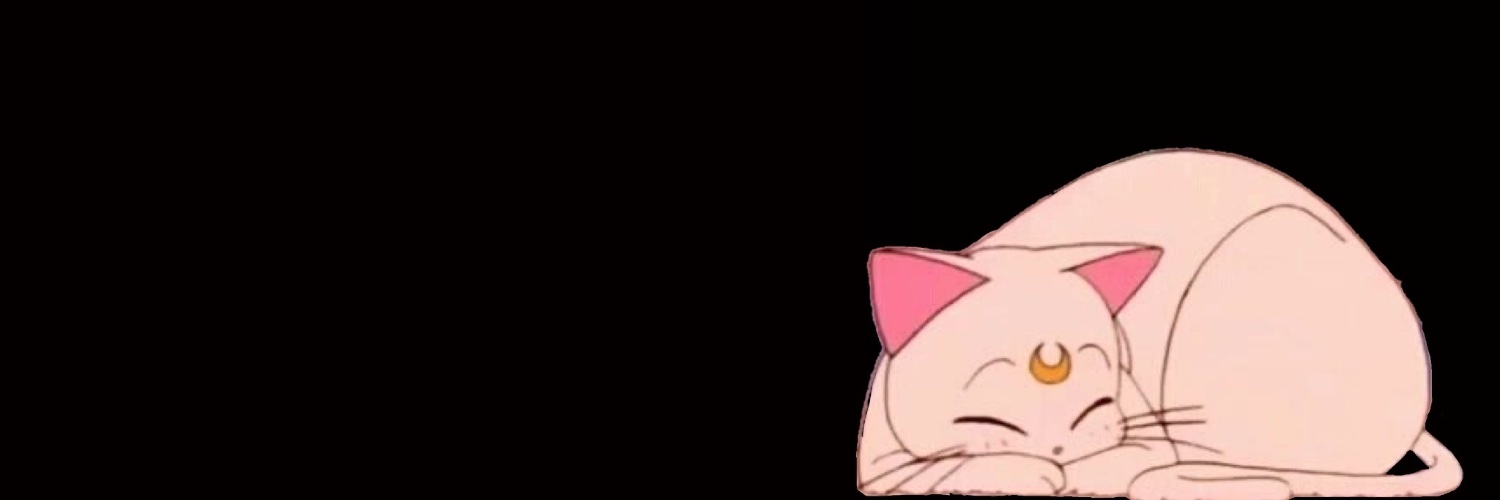 kittiesta16's profile banner image