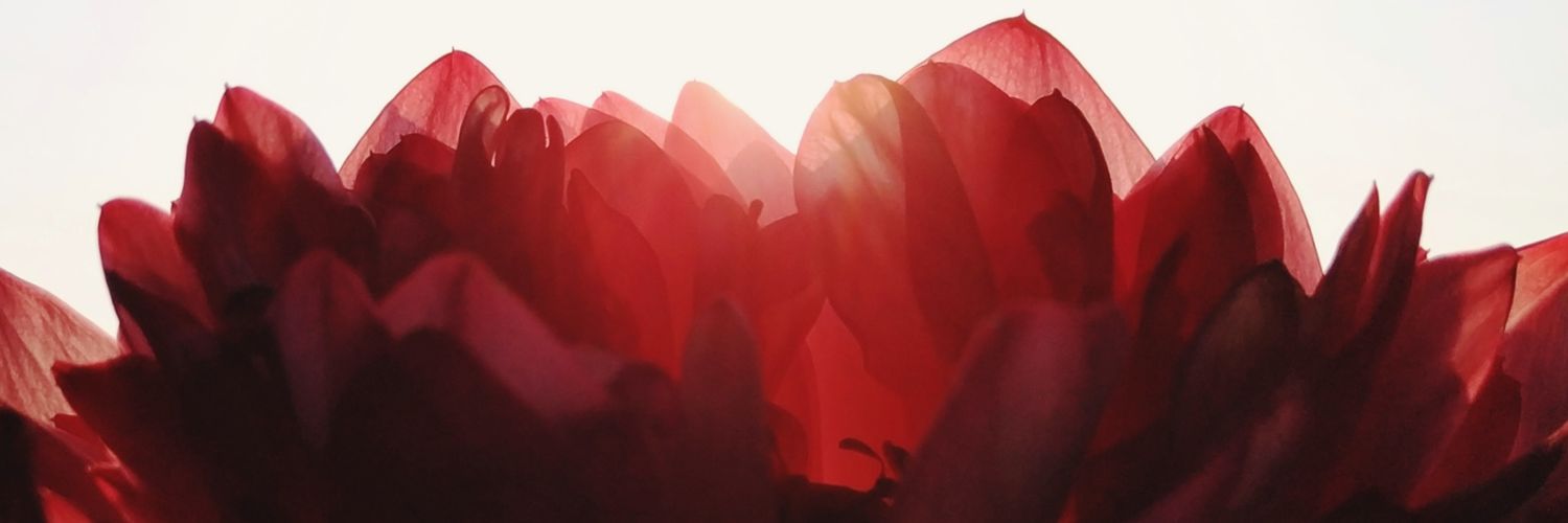 archas_journy's profile banner image