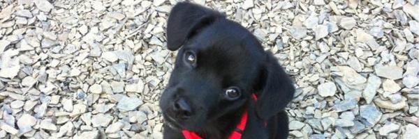 MmeSPower Profile Banner