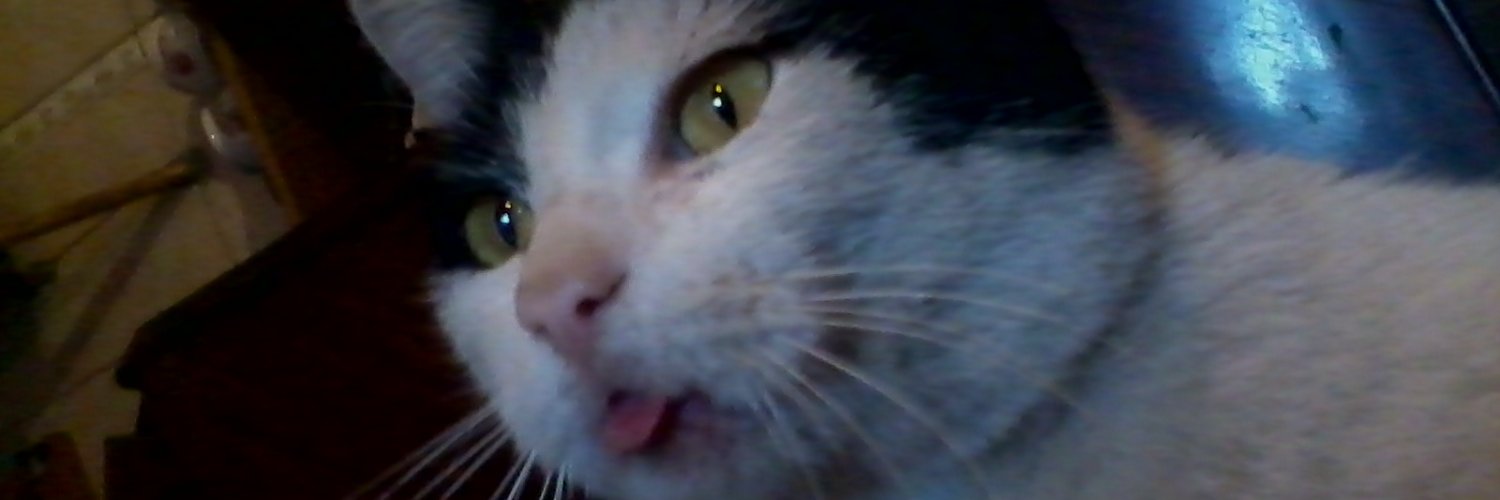 MatiasBarrotto's profile banner image