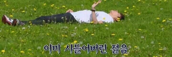 계정을 또 빼앗긴 반야 banner