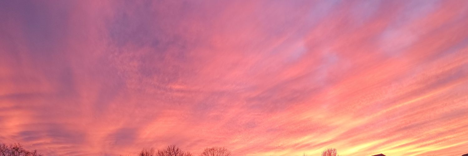 BiceCandace's profile banner image