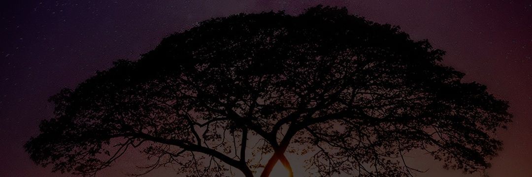 zub_art's profile banner image