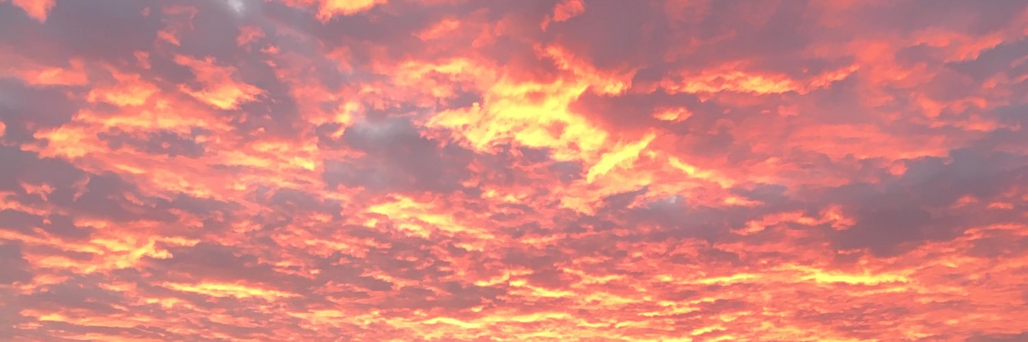 st4c3y86's profile banner image