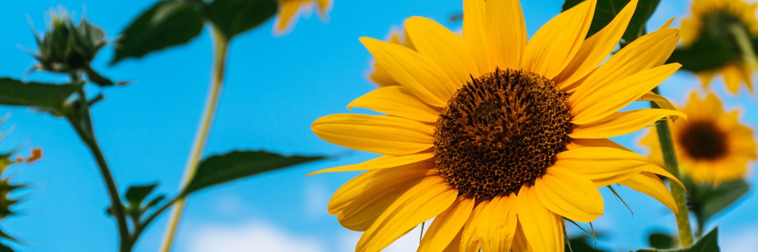 jacque_rioja's profile banner image