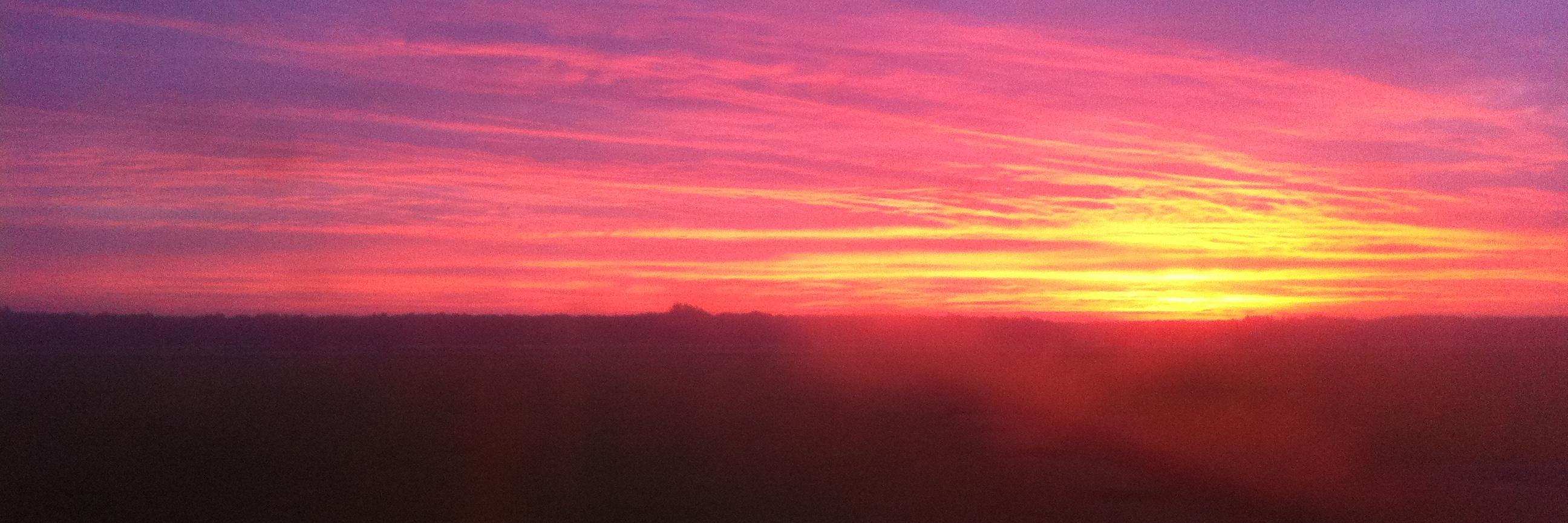 Emeric Froidefond banner