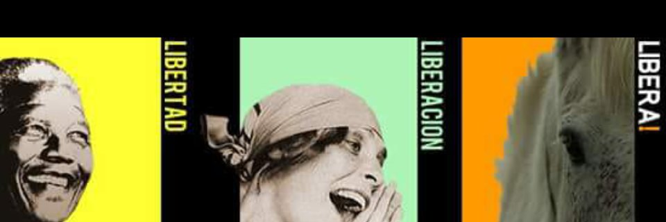 PedroLionM's profile banner image