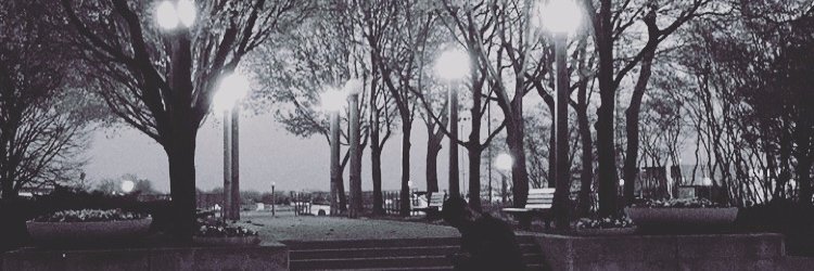 eljay_sl's profile banner image