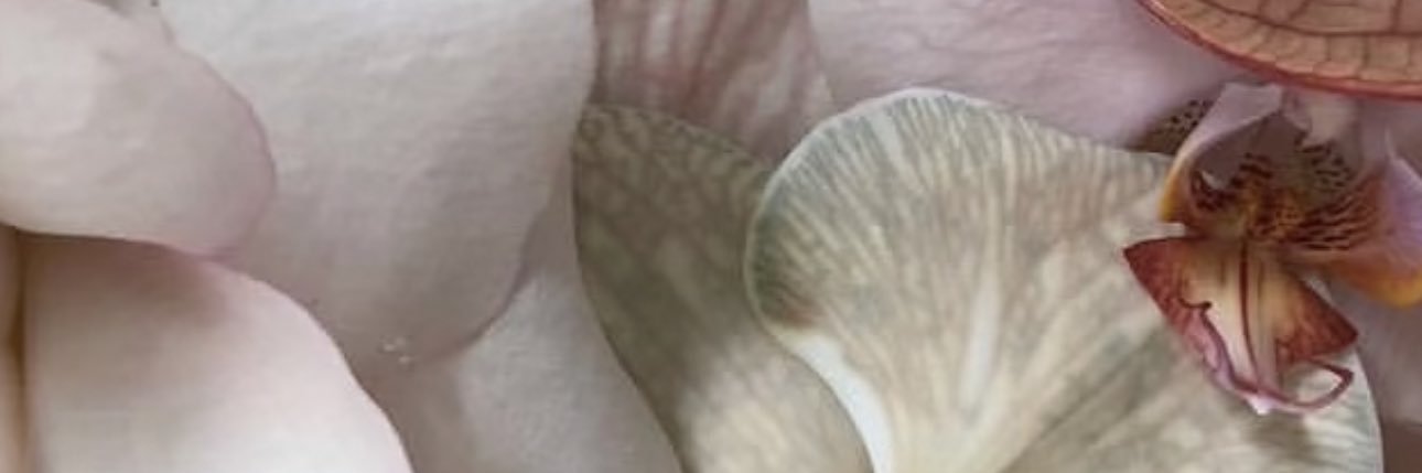 tippernyy's profile banner image