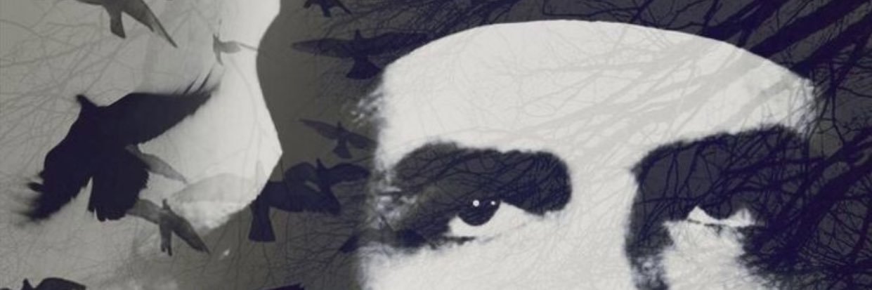 Smaidab_2's profile banner image