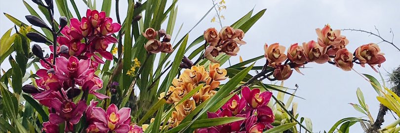 jmoravega's profile banner image