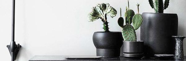 ||| banner