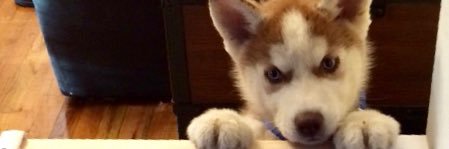 dave_sis2's profile banner image