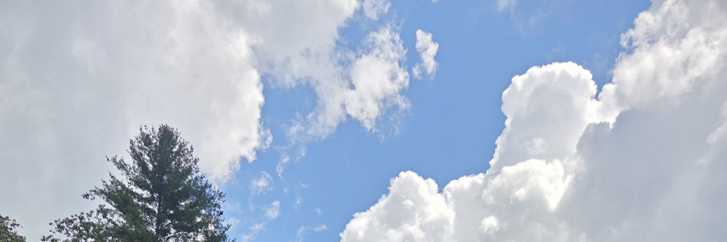 juju10bee's profile banner image