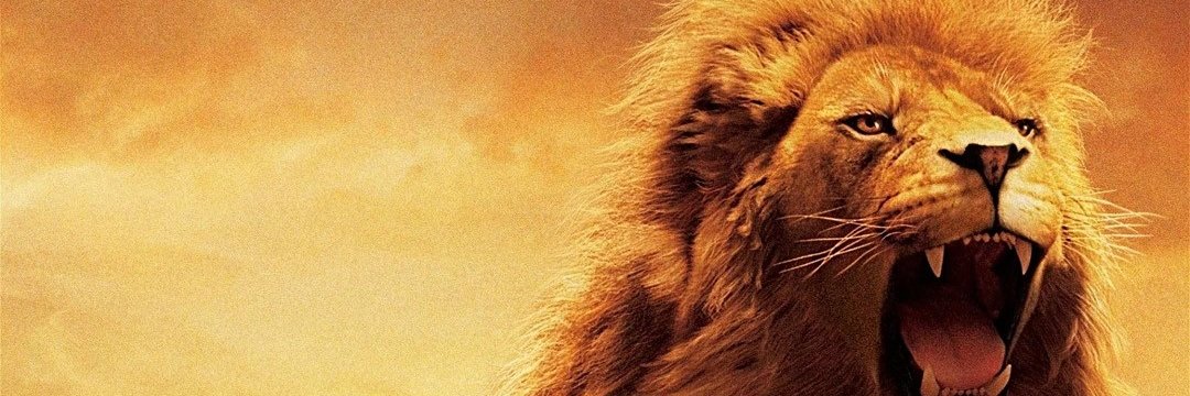 KabMpindu's profile banner image