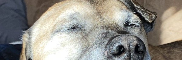 CRSantantasio Profile Banner