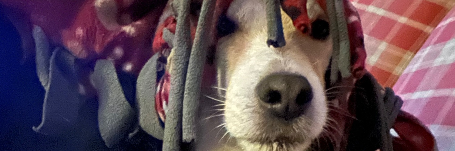 Wertz53's profile banner image