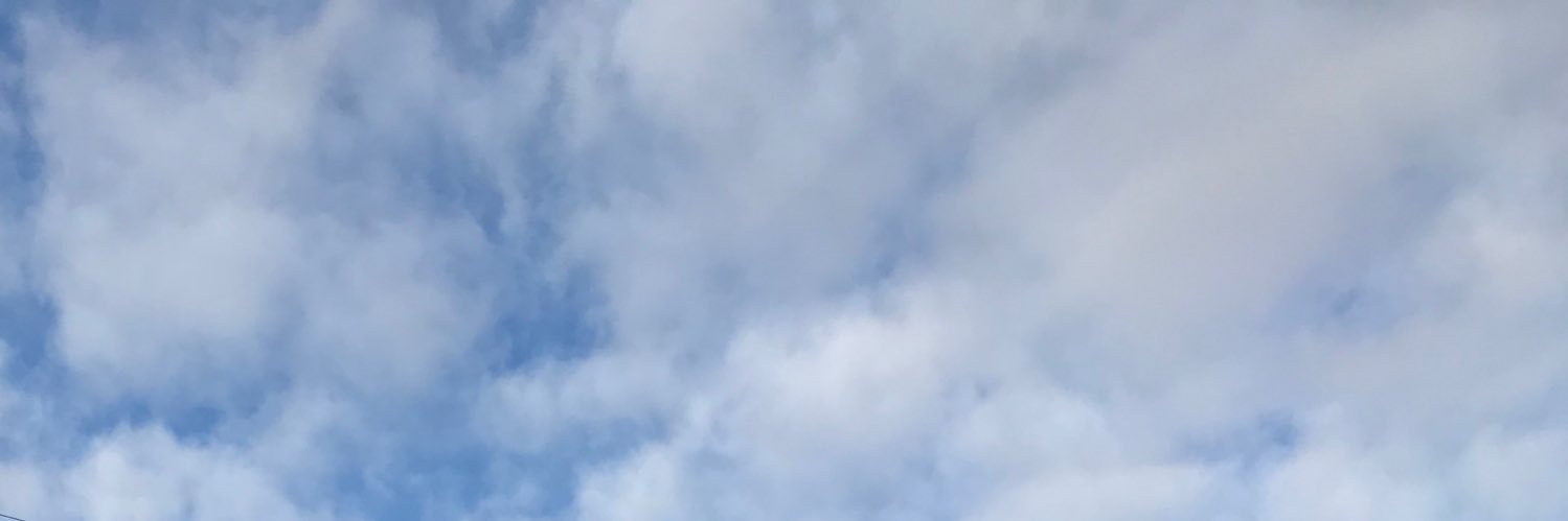 michele_sdlr's profile banner image