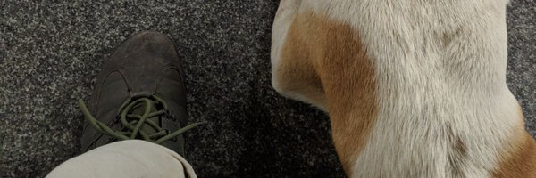 sajeshksv Profile Banner