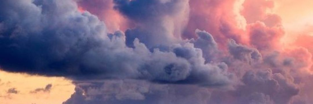 mercanozgee's profile banner image