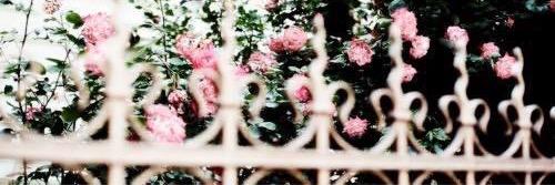 culdesackid's profile banner image