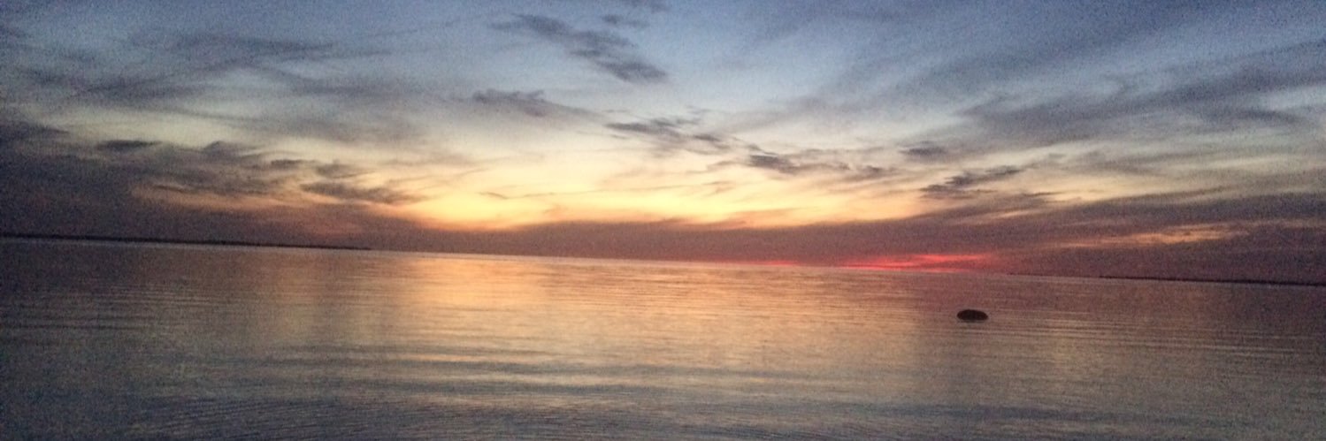 colelapine1's profile banner image