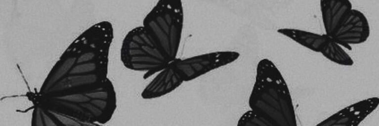 amaricalamarii's profile banner image