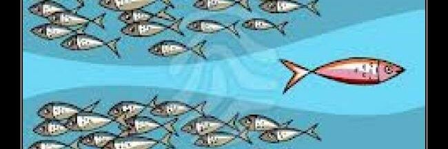 LordSalmonOnce's profile banner image