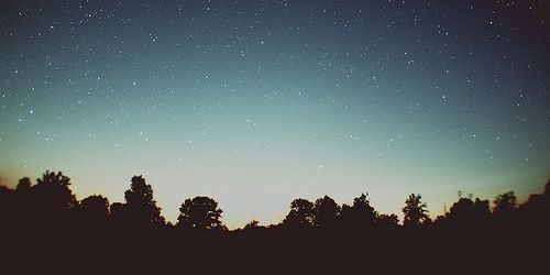 Alesya763's profile banner image