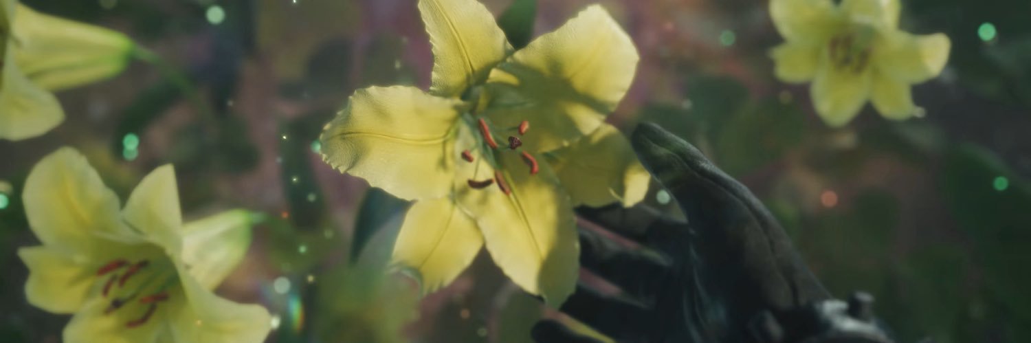 bagieru's profile banner image