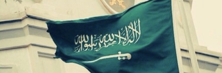 Alioe145's profile banner image