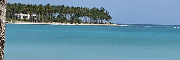 ricardoRchupany Profile Banner