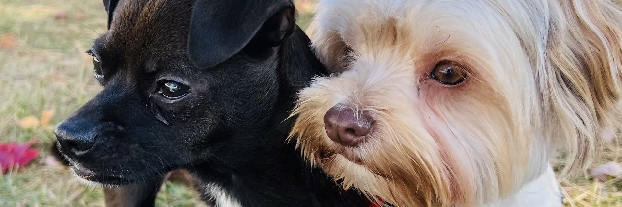 Bailey Rigsby banner