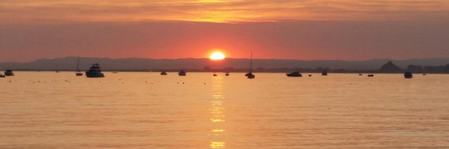 Axelle Chenivesse banner