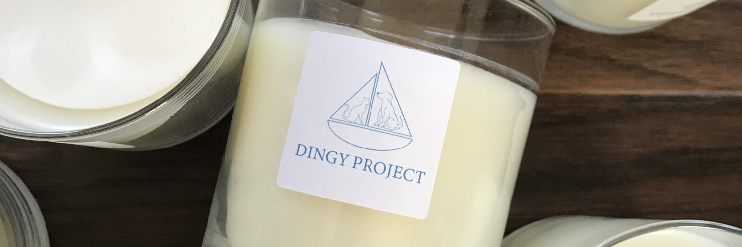 DingyProject's profile banner image