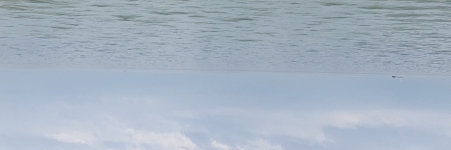 imageburns's profile banner image